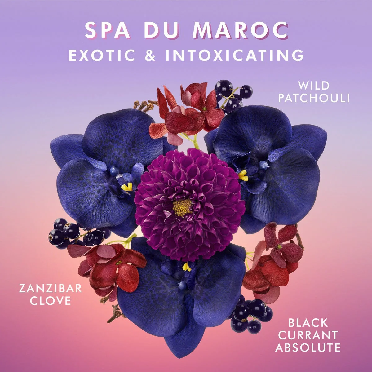 Hand Wash Spa Du Maroc - Image 4